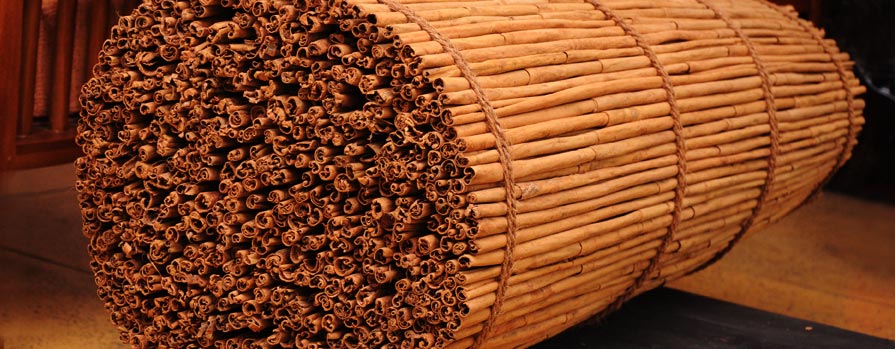Cinnamon stick bundle